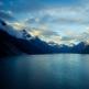 Новая Зеландия: Национальный парк Фьордленд Растительный мир Фьордленда