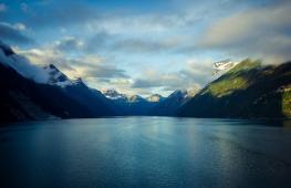 Новая Зеландия: Национальный парк Фьордленд Растительный мир Фьордленда